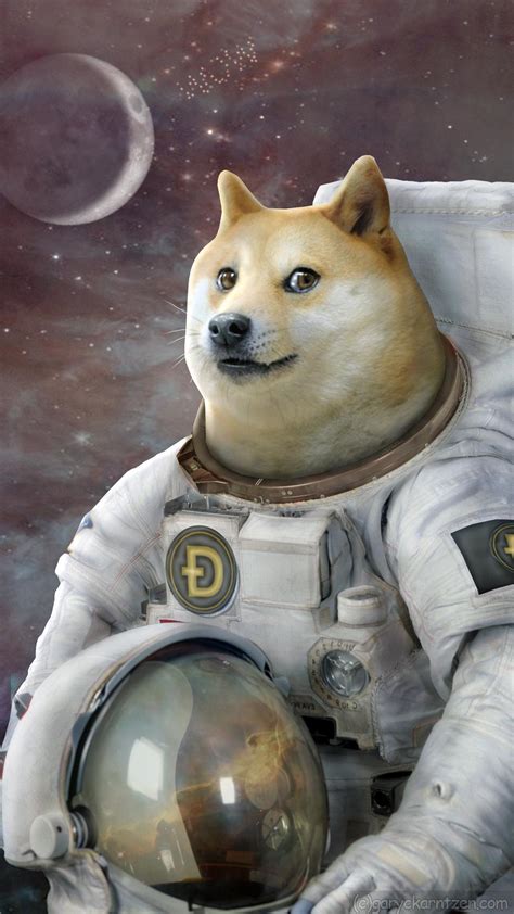 Doge 1080x1080 Doge Phone Wallpapers Top Free Doge Phone Backgrounds