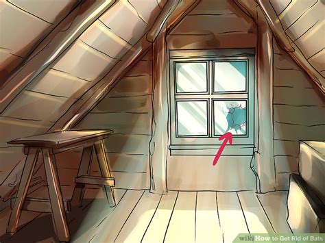 Do you want to get rids of bats in the attic? How to Get Rid of Bats: 11 Steps (with Pictures) - wikiHow