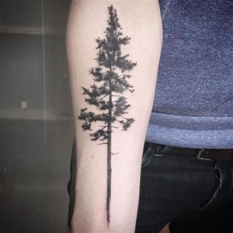 Awesome Black Ink Pine Tree Tattoo On Forearm