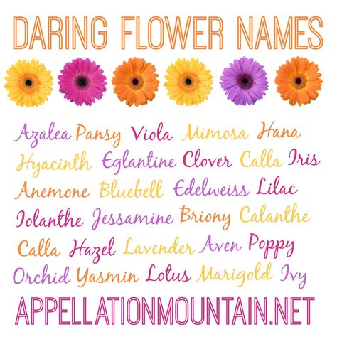 Azalea And Edelweiss Daring Flower Names Appellation Mountain
