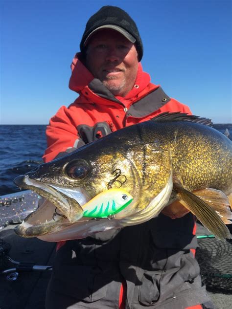 Post Spawn Walleye Fishing Green Bay Fishing Reports In Depth Outdoors