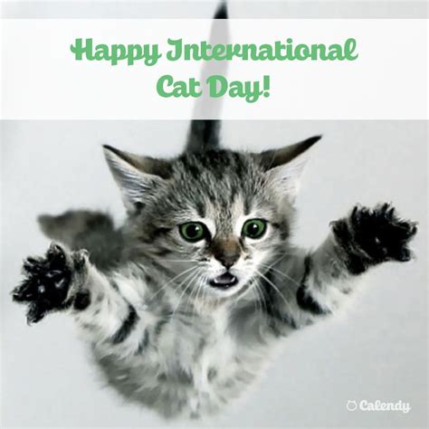 It is also an awareness day to inform people about the number of cats that need to be rescued each year in the country along with celebrating the love and friendship cats shower us with. Happy International Cat Day! | Cat day, International cat ...