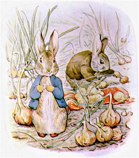 Kelley Mcmorris Illustration Beatrix Potter And Illustrating Rabbits