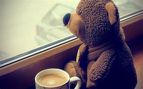 Pictures Of Sad Teddy Bear Lost And Lonely Feeling After Love Break Up