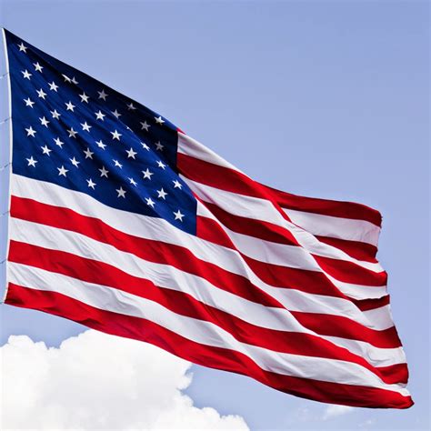 Flag is a strong symbol of american identity and national pride. United States of America Flag | Buzz Photos
