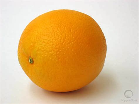 Buy Orange Large Directly From Japanese Company Nippon Dom