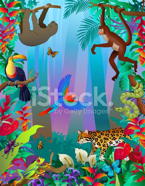 Amazon Rainforest Animals Vertical Jungle Scene With Many Creatu Stock