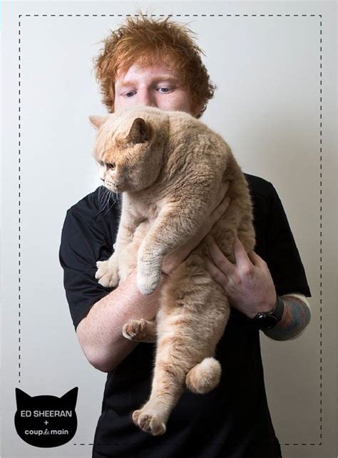 Interview The Ed Sheeran Cat Erview Ed Terview Ed Sheeran Ed Sheeran Love Cats