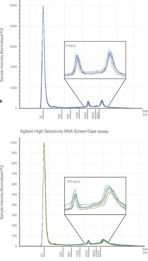 Figure From Performance Equivalence Of The Rna Screentape Assays On