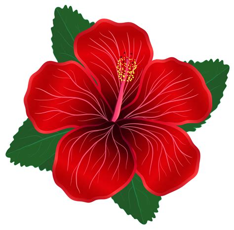 Red Flower Clip Art Clipart Best