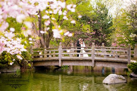 Wedding Photography Cherry Blossoms Kariya Park Mississauga On
