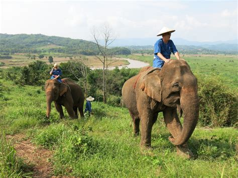 The elephant and the rider. Thailand: Riding elephants, travelling the Mekong, expl ...