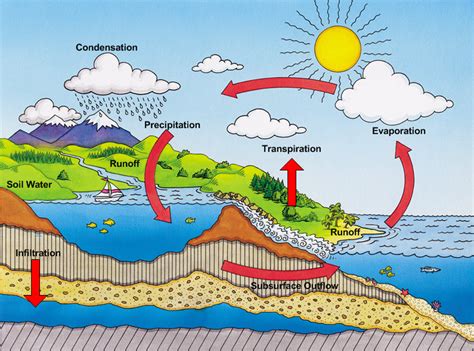 The Water Cycle The Importance Of Water