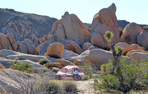 6 Best Campgrounds In Joshua Tree National Park And Camping Details