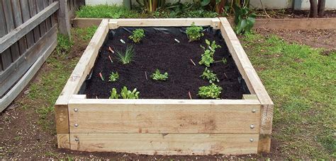 How To Build Garden Boxes For Vegetables In 2023 Easy Backyard