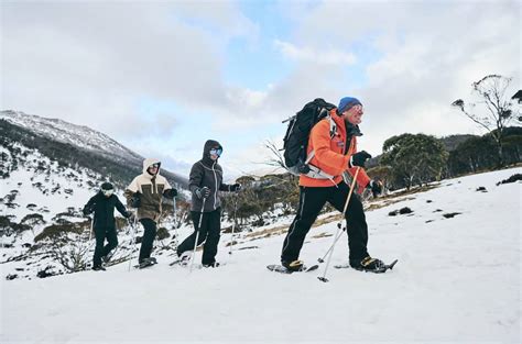 What To Do In Thredbo If You Dont Ski The Accidental Australian