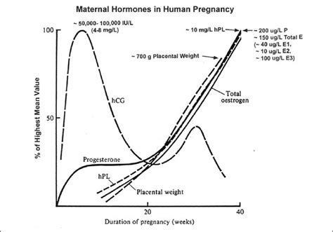 Various Hormone Levels During Pregnancy Download Scientific Diagram