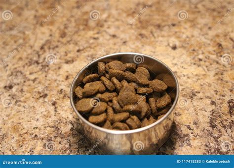 Is One Cup Of Dog Food Enough