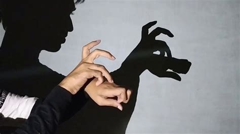 Sombras Chinesas Adivinhe Os Animais De Fantoche De Sombras Com A Mão