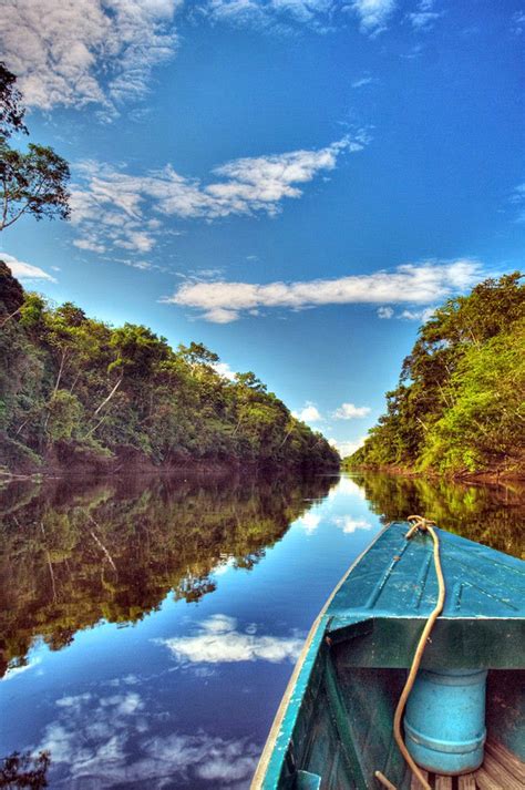 One Day In The Amazon River Basin Our World Stuff
