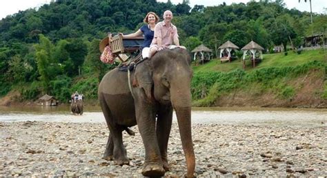 laos tours of riding elephants in zen nam khan resort