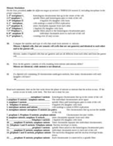 Meiosis worksheet key the atomic model worksheet and key 3 speciation is a lineage splitting event that from biology bsc c at seminole state college of florida cannot pair up in meiosis the formation of a new goal 3 1 4 1 1 defines technical terminology 4 1 2 designs and develops spreadsheets by. Meiosis Worksheet With Answers - meiosis worksheets with ...