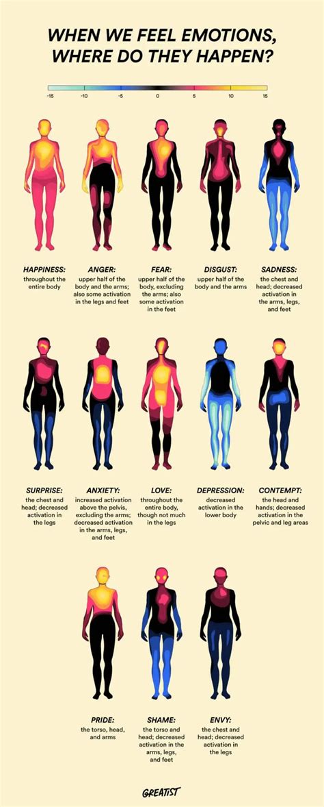 surprisingly literal effects emotions have on your body daily infographic mental and