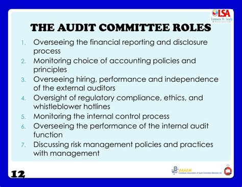 Ppt A Leadership Prescription For Audit Committee Members Powerpoint