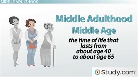 Physical Development In Middle Adulthood Video And Lesson Transcript