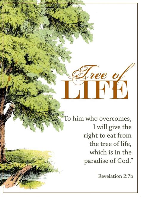 Tree Of Life Meaning Bible - dmm-sports