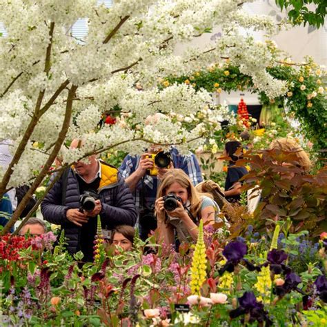 Chelsea Flower Show Floristry And Floral Design 2022