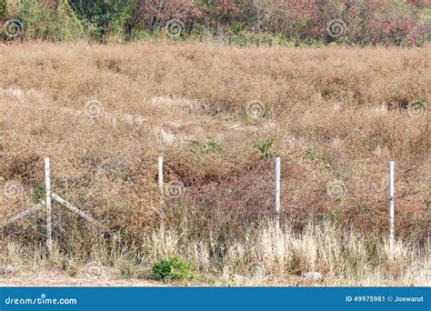 Dry Land Boundary Stock Image Image Of View Concept 49975981