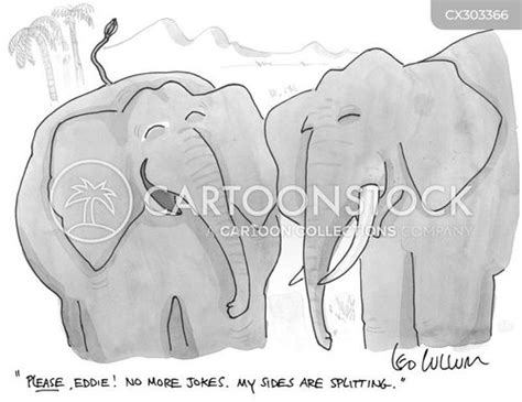 elephants cartoons and comics funny pictures from cartoonstock