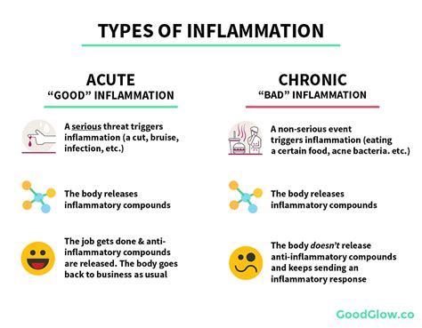 Understanding Acute Versus Chronic Inflammation What You Need To Know