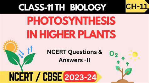 Class Biology Ch Photosynthesis In Higher Plants Ncert