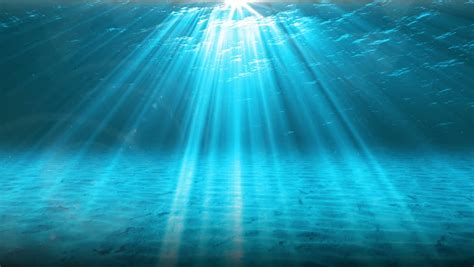 You are free to edit, distribute and use the images for unlimited commercial purposes without asking permission. Underwater Scene. Summer Travel Background. Stock Footage ...