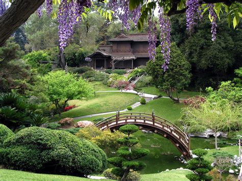 Japanese Garden The Huntington Alices Garden Travel Buzz