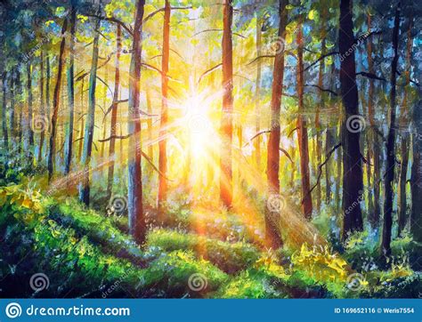 Oil Painting Canvas Sunset Or Sunrise In Forest Landscape Sun Sunshine