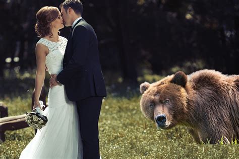 Bear Crashes Wedding And Photographer Captures It All Iheart