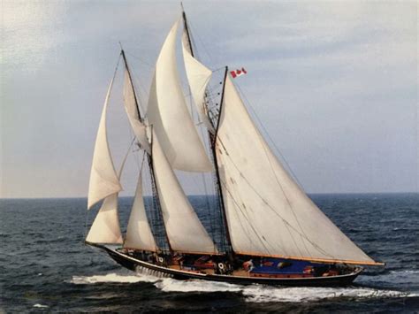 Bluenose Ii Tall Ships America