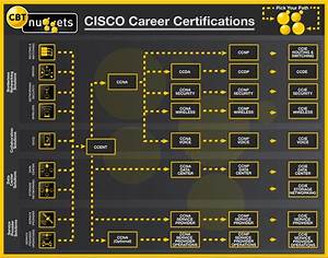 Check Out This Cisco Certifications Pathway Chart We 39 Ve Put Together