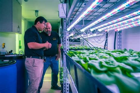 Growing Up Welcome To Vertical Farming Asu Now Access Excellence