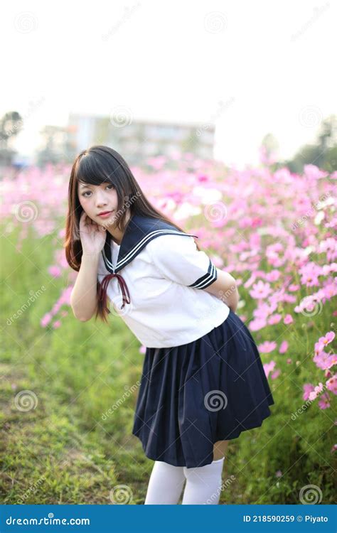 Portrait Of Japanese School Girl Uniform With Pink Cosmos Flower Stock