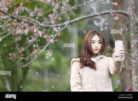 Asian Woman Selfie With Cherry Blossom Sakura Stock Photo Alamy