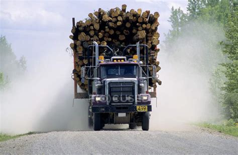 Logging Truck Bringing Load Of Softwood In Hinton Alberta Canada