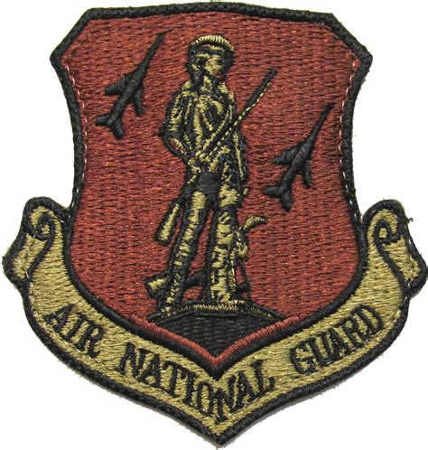 Us Air Force Air National Guard Ocp Patch Spice Brown