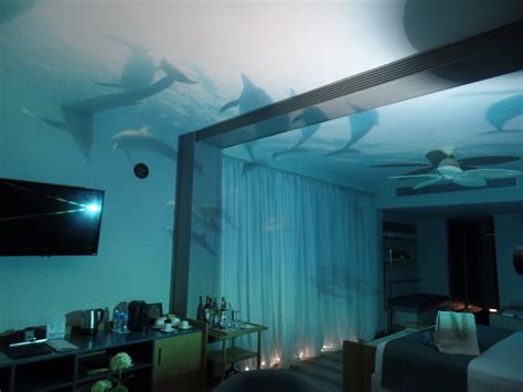 4d Projections Live An Immersive Experience In Your Room Maravilloso