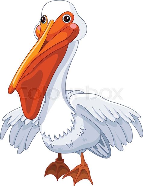 Illustration Of Cute Pelican Stock Vector Colourbox