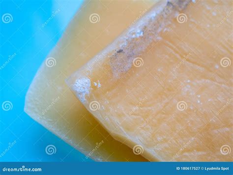 The Fungus On The Food Contains Bacteria And Germs Stock Photography