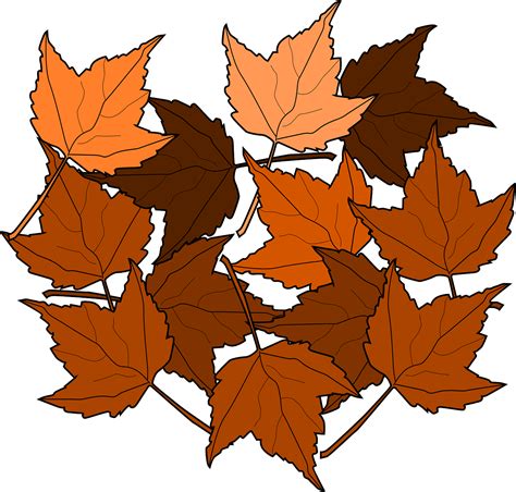Download Maple Leaves Fall Royalty Free Vector Graphic Pixabay